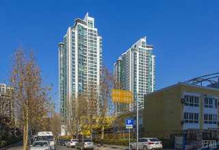 韶关网络数字化营销热线